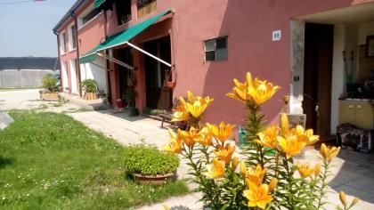 Room in Bungalow - Bungalow on an organic farm - image 14