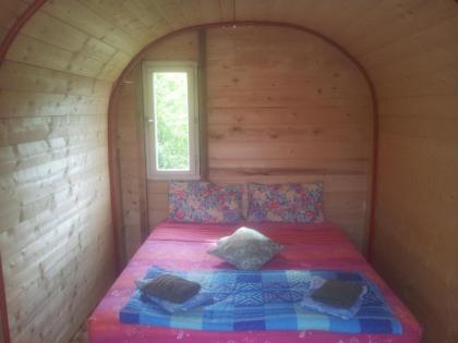 Room in Bungalow - Bungalow on an organic farm - image 3