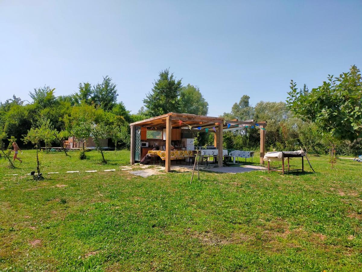 Room in Bungalow - Bungalow on an organic farm - image 4