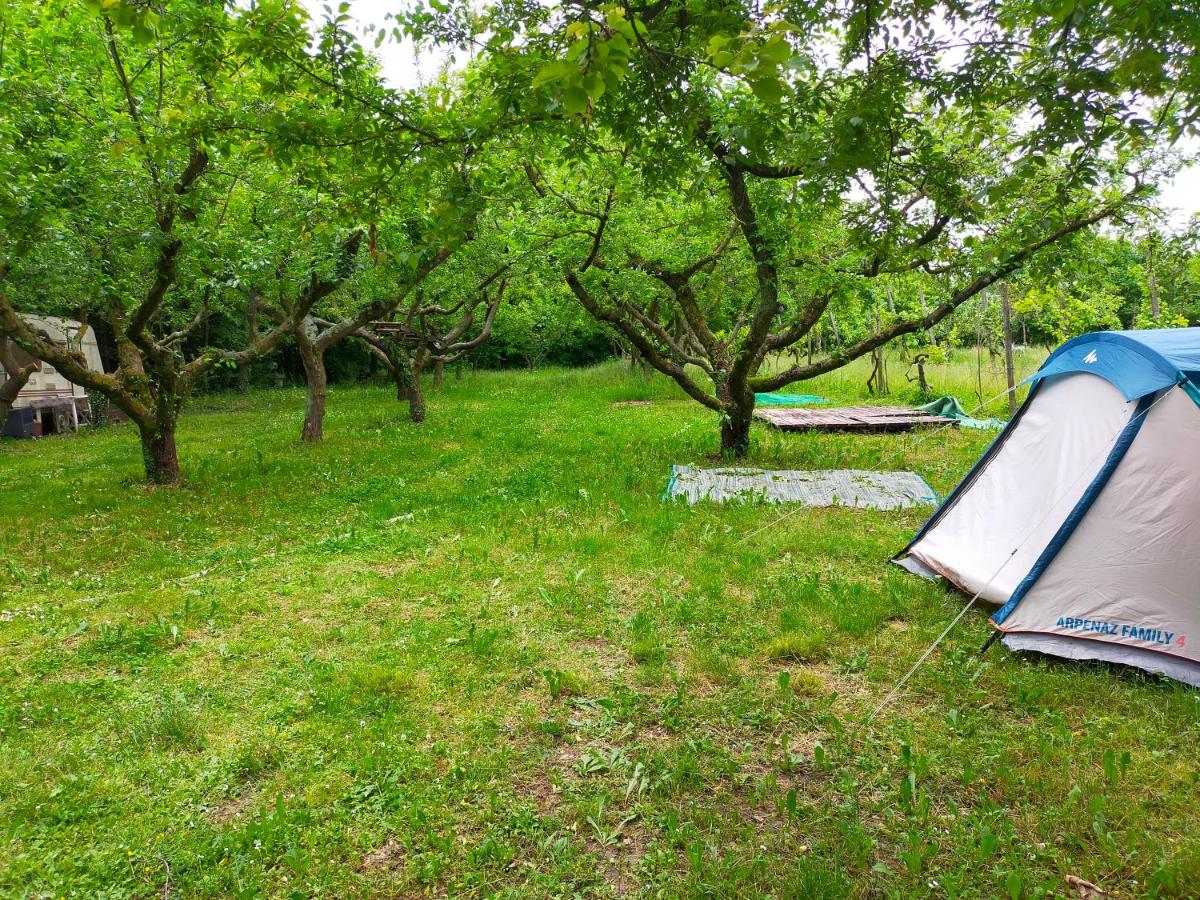 Room in Bungalow - Bungalow on an organic farm - image 7