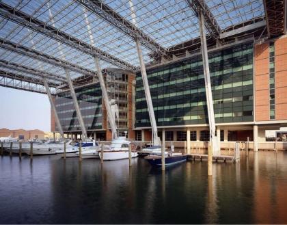 Loft on the Lagoon - image 2