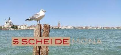 Best Concierge Service - 5 SCHEI DE MONA Venice - image 20